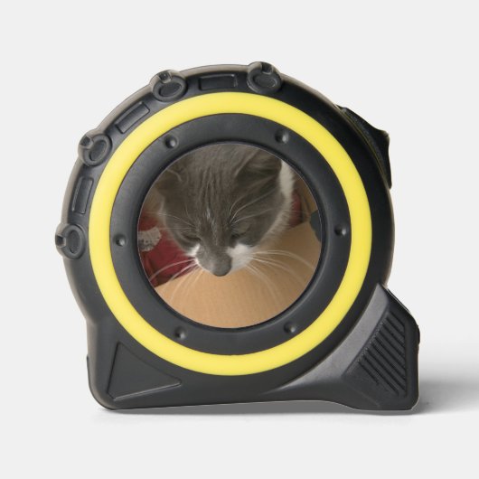 箱の中の猫 メジャー (正面)