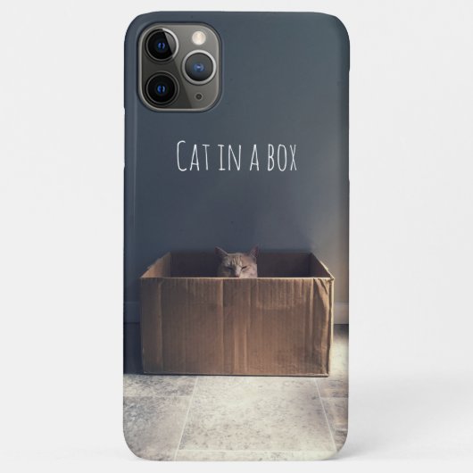 箱の中の猫。禅猫マスター。 Case-Mate iPhoneケース (裏面)