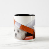 箱の子犬 ツートーンマグカップ (中央)