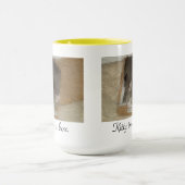 箱の子猫 マグカップ (中央)