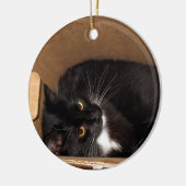 箱の子猫-写真 セラミックオーナメント (左)