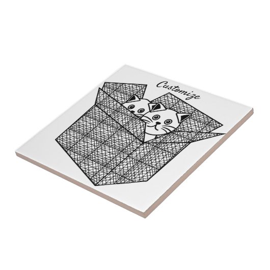 箱の子猫Thunder_Cove タイル (側面)