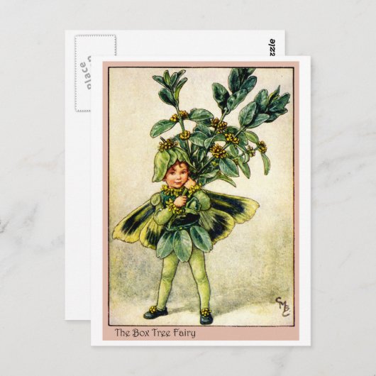箱の木の妖精 ポストカード (正面/裏面)