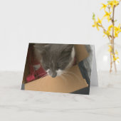 箱の猫 カード (黄色い花)