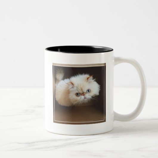 箱の猫 ツートーンマグカップ (右)