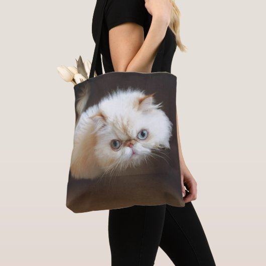 箱の猫 トートバッグ (クローズアップ)
