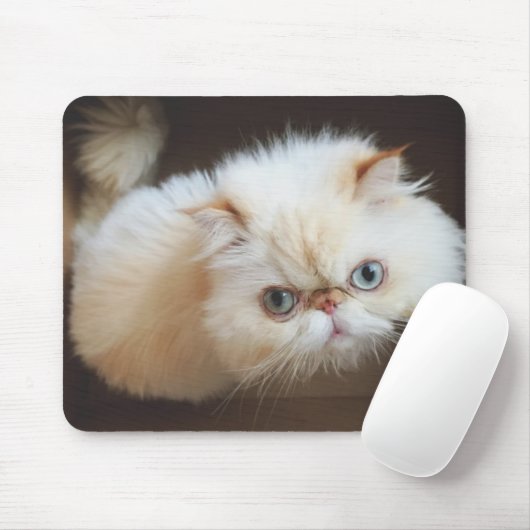 箱の猫 マウスパッド (マウス)