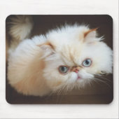 箱の猫 マウスパッド (正面)