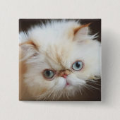 箱の猫 缶バッジ (正面)