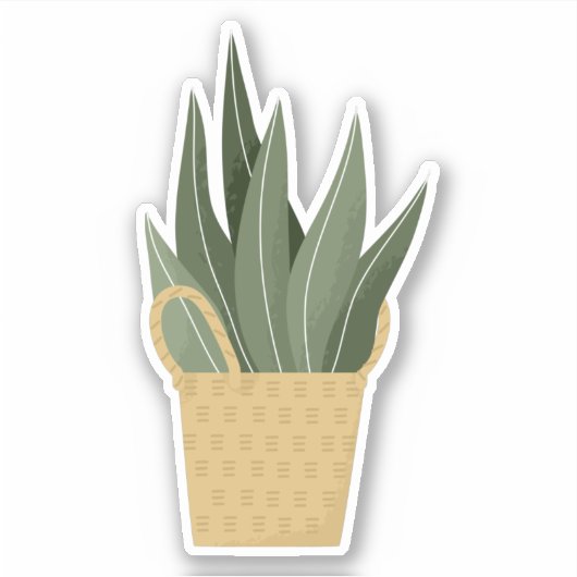 箱入りグリーンの観葉植物の透明ステッカー シール (正面)