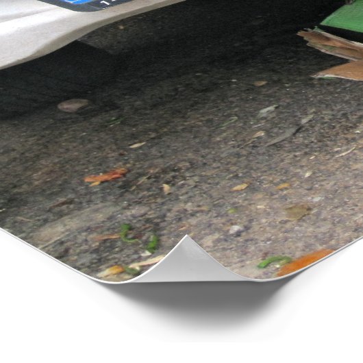 箱型ネコ1 ポスター (角)