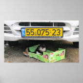 箱型ネコ1 ポスター (正面)