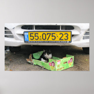 箱型ネコ1 ポスター