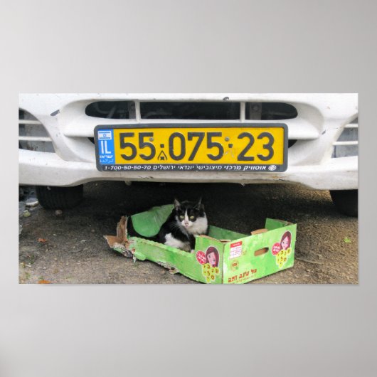 箱型ネコ1 ポスター (正面)