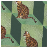 箱型織物のベンガル ファブリック (クローズアップ)