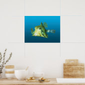 箱魚のクローズアップ!グラデーションの青い背景 | ポスター (キッチン)