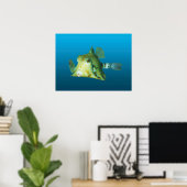 箱魚のクローズアップ!グラデーションの青い背景 | ポスター (ホームオフィス)