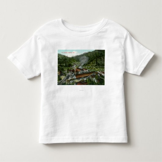 箱FactoryLamoine、カリフォルニアの空中写真 トドラーTシャツ (正面)