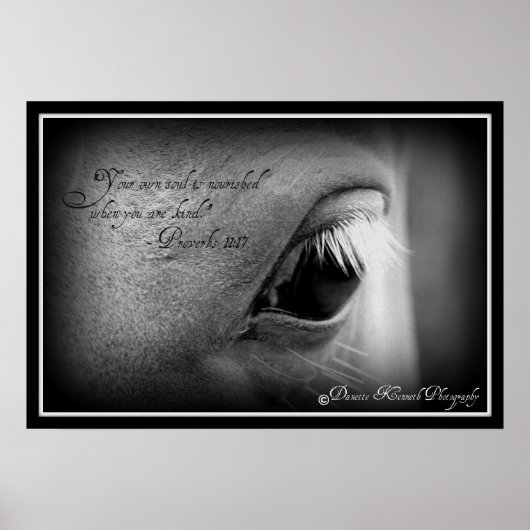 箴言11:17 ポスター (正面)