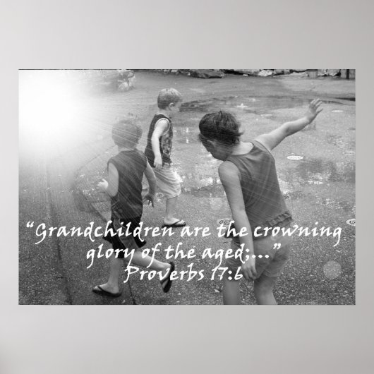 『箴言17:6』カーターL.シェパード ポスター (正面)