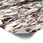 箴言18:21聖なる書物、 経典プリント ポスター (角)