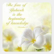 箴言1:7 | Bible Verse引用文