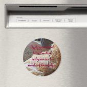 箴言23:12磁石 マグネット (インサイチュ (食洗機))