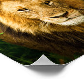 箴言28:1義ははっきりした獅子聖書である ポスター (角)