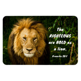 箴言28:1義ははっきりした獅子聖書である マグネット