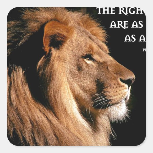 箴言28:1 スクエアシール (正面)