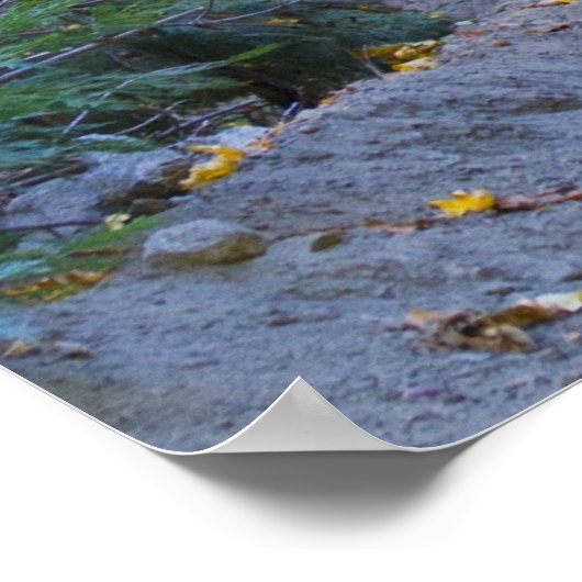 箴言28:1 ポスター (角)