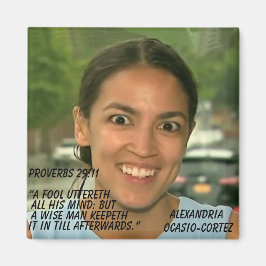 箴言29:11 マグネット