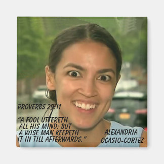 箴言29:11 マグネット