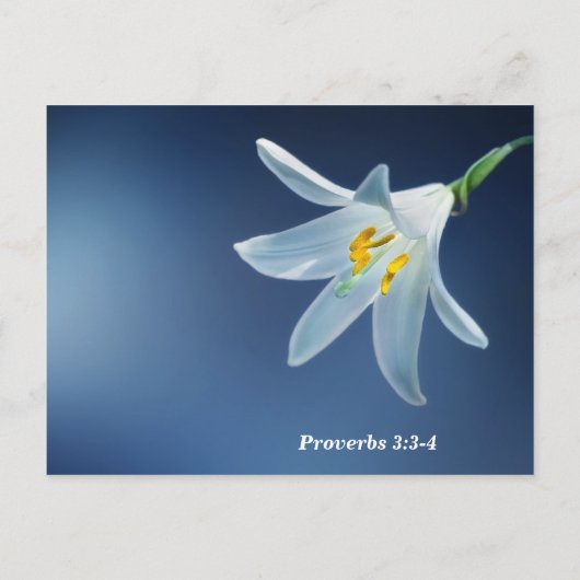箴言3:3-4愛と誠実さが励む ポストカード (裏面)