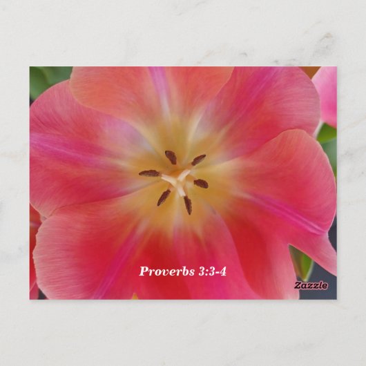 箴言3:3-4愛と誠実 ポストカード (裏面)