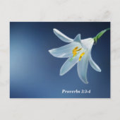 箴言3:3-4 愛と忠誠を奨励する ポストカード (裏面)