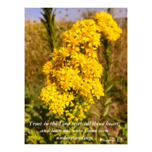 箴言3:5聖書の詩のポスター