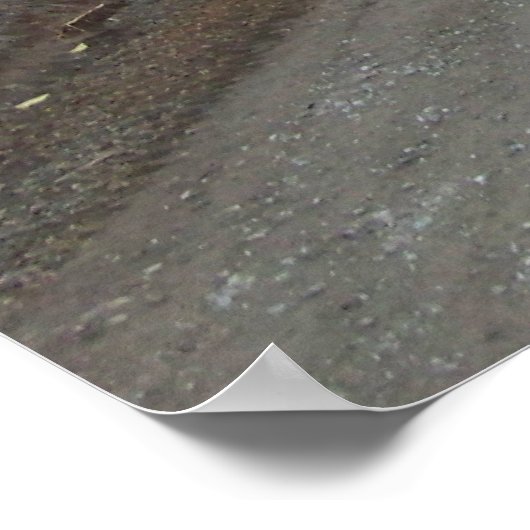 箴言3:5-6キリスト教の聖書の詩のポスター ポスター (角)