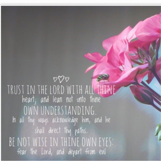 箴言3:5-6 シール (正面)