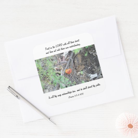 箴言3:5-6 スクエアシール (封筒)