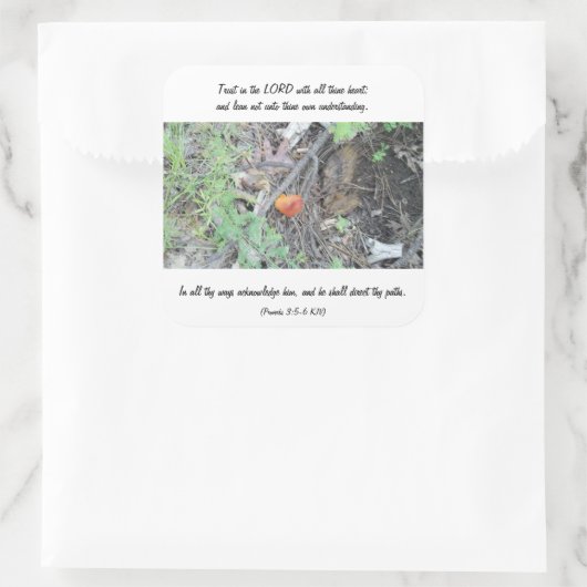 箴言3:5-6 スクエアシール (バッグ)