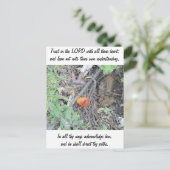 箴言3:5-6 ポストカード (スタンド正面)