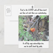 箴言3:5-6 ポストカード (正面/裏面)