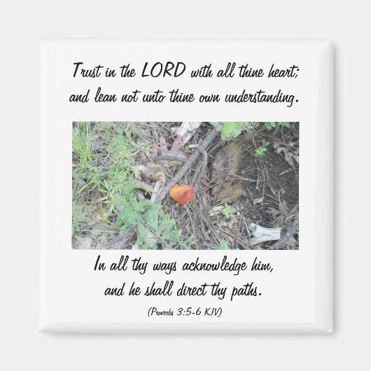 箴言3:5-6 マグネット (正面)