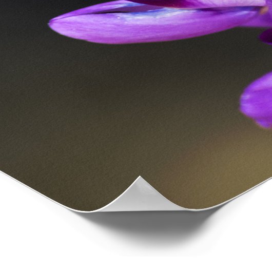 箴言4:23 ポスター (角)