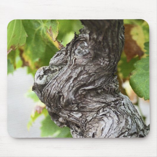 節だらけの非常に古いつる植物の枝 マウスパッド (正面)