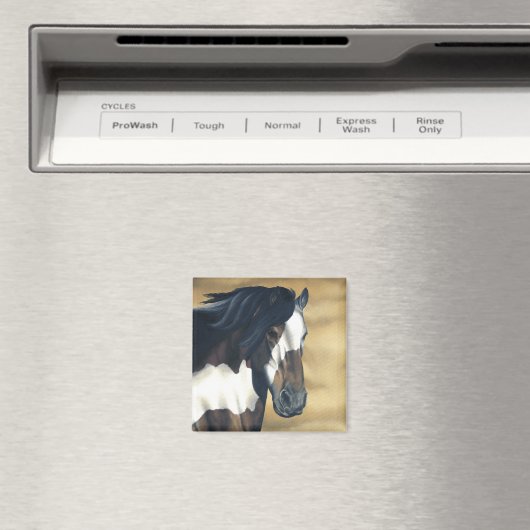 節制 マグネット (インサイチュ (食洗機))