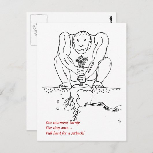 節句 ポストカード (正面/裏面)