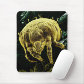 節足動物のAcariの顕微鏡のダニLorryiaフォーモサ マウスパッド (マウス)