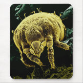 節足動物のAcariの顕微鏡のダニLorryiaフォーモサ マウスパッド (正面)